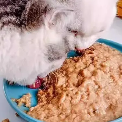 Ensacadeira de Ração para Animais de Estimação