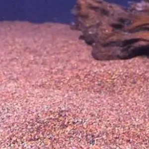 Linha de embalagem de granulados